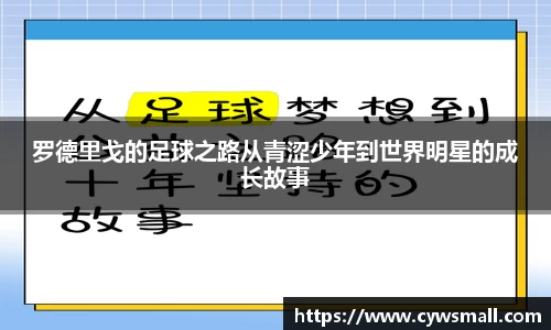 米乐YY易游